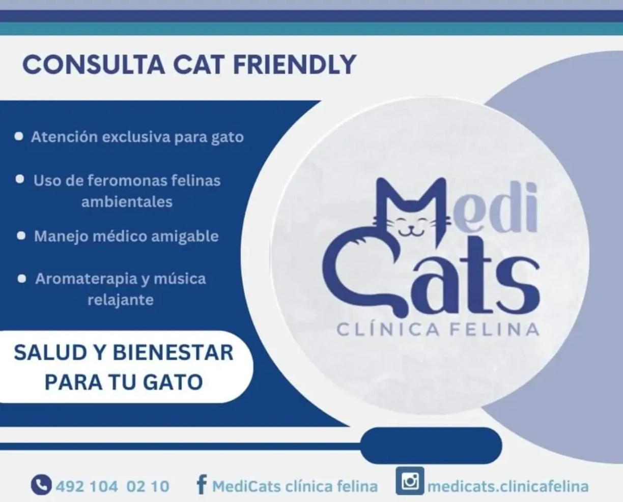 Instalaciones MediCats 2